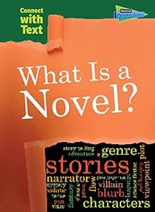 What is a Novel?