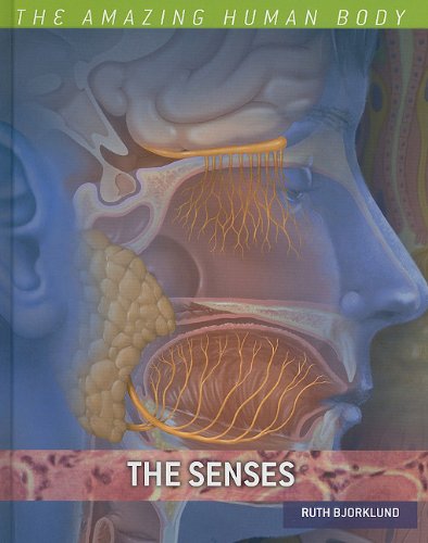 The Senses by Ruth Bjorklund