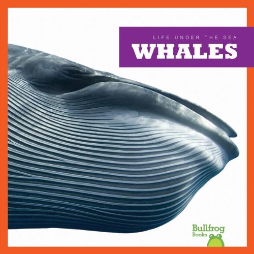 Whales by Cari Meister