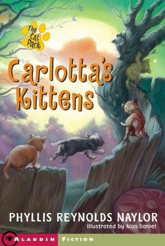 Carlotta's Kittens : And the Club of Mysteries by Phyllis Reynolds Naylor
