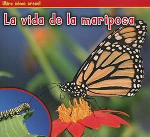 La vida de la mariposa