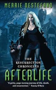 Afterlife: The Resurrection Chronicles