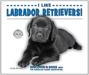 I Like Labrador Retrievers!