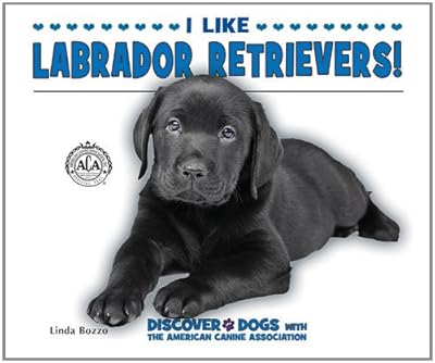 I Like Labrador Retrievers!