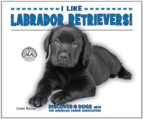 I Like Labrador Retrievers! by Linda Bozzo