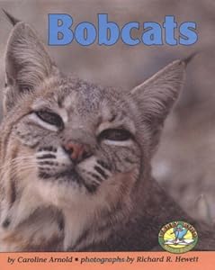 Bobcats (Early Bird Nature)