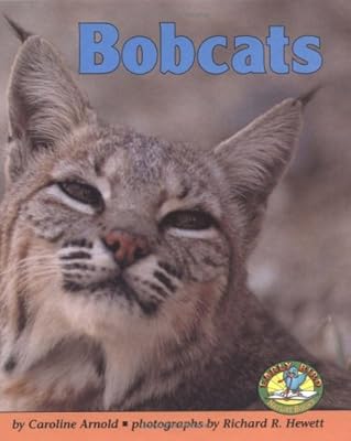 Bobcats (Early Bird Nature)