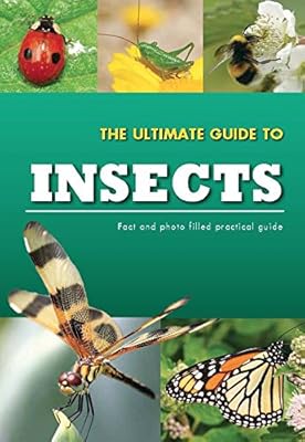 The Ultimate Guide To Insects