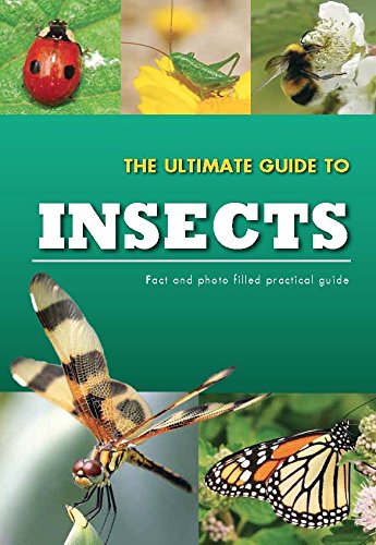 The Ultimate Guide To Insects by Parragon Books