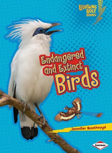 Endangered and Extinct Birds by Jennifer Boothroyd