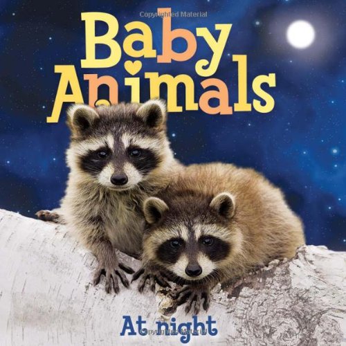 Baby Animals At Night by Editors of Kingfisher