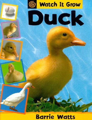 Duck by Barrie Watts
