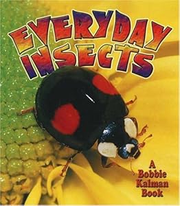 Everyday Insects (The World of Insects)