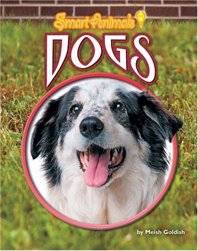 Dogs