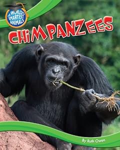 Chimpanzees