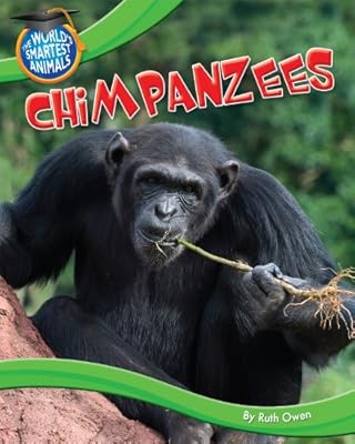 Chimpanzees