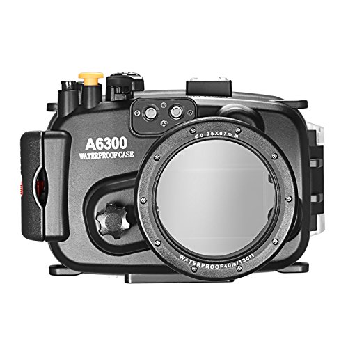 Algopix Similar Product 2 - 