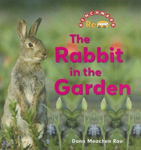 The Rabbit in the Garden (Benchmark Rebus) by Dana Meachen Rau
