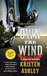 Own the Wind: A Chaos Novel