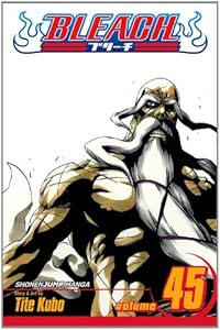 Bleach, Vol. 45