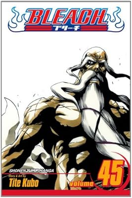 Bleach, Vol. 45