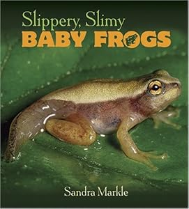 Slippery, Slimy Baby Frogs