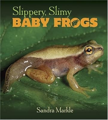 Slippery, Slimy Baby Frogs