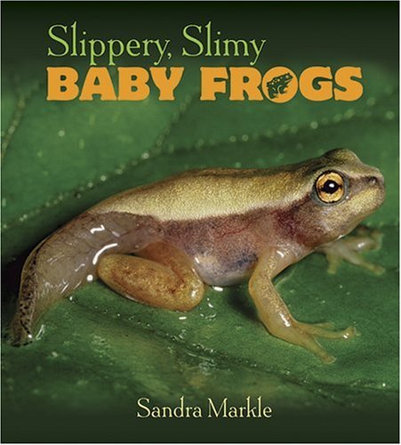 Slippery, Slimy Baby Frogs by Sandra Markle