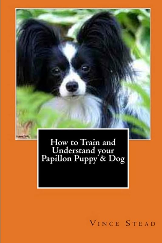 How to Train and Understand your Papillon Puppy & Dog by Vince Stead
