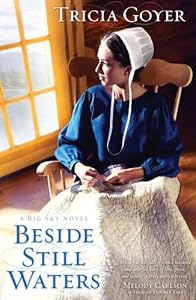 Beside Still Waters: A Big Sky Novel