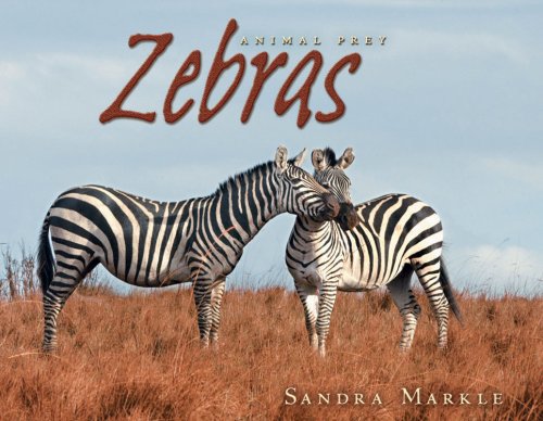 Zebras (Animal Prey) by Sandra Markle