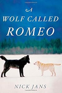 A Wolf Called Romeo