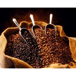 Ethiopian Yirgacheffe Washed Grade 1 Unroasted Coffee Beans