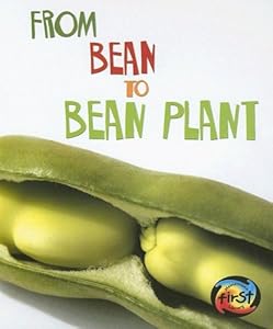 From Bean to Bean Plant (Heinemann First Library)