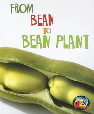 From Bean to Bean Plant (Heinemann First Library)