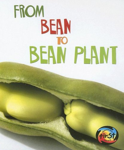 From Bean to Bean Plant (Heinemann First Library) by Anita Ganeri