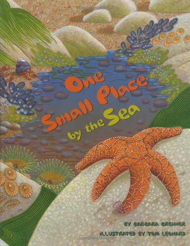 One Small Place by the Sea by Barbara Brenner
