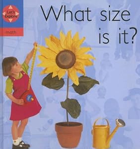 What Size Is It? (Let's Explore, Maths Set)