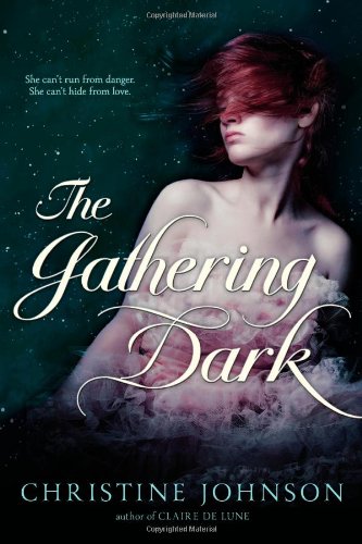 The Gathering Dark by Christine Johnson