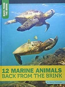 12 Marine Animals Back from the Brink