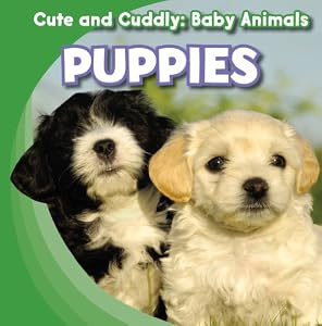 Puppies by Grace Elora