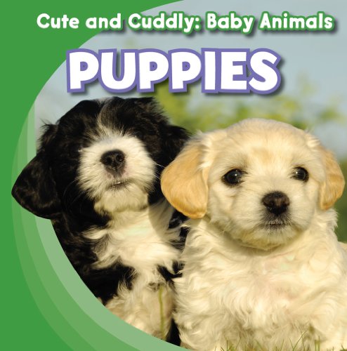 Puppies by Grace Elora