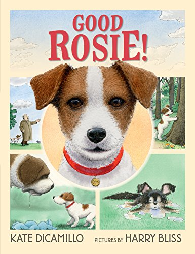 Good Rosie! by KATE DICAMILLO
