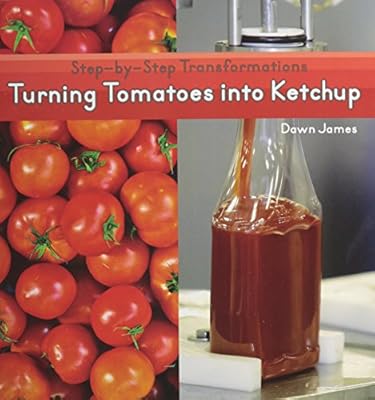 Turning Tomatoes Into Ketchup