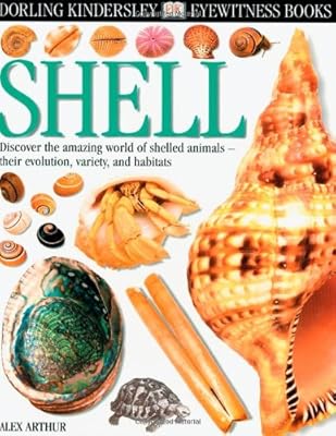 Eyewitness: Shell
