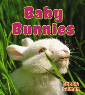 Baby Bunnies