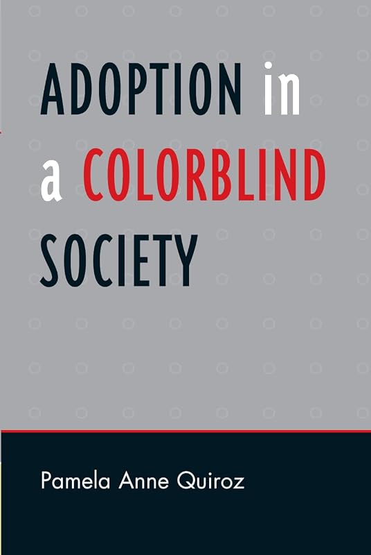 Adoption in a Color-Blind Society (Perspectives on a Multiracial America) by Pamela Anne Quiroz