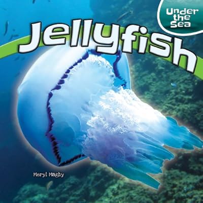 Jellyfish