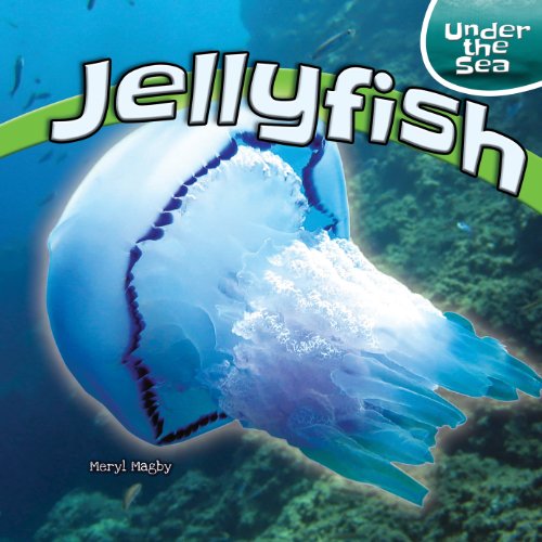 Jellyfish by Meryl Magby