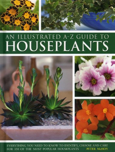Illustrated A-Z Guide To Houseplants: Everything You Need To Know To Identify, Choose And Care For 350 Of The Most Popular Houseplants by Peter McHoy